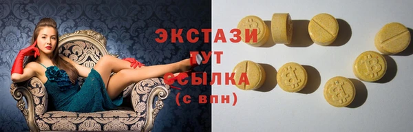 гидра Вязьма