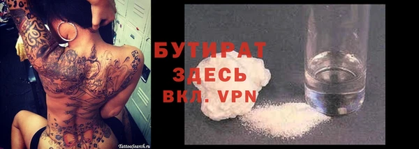 гидра Вязьма