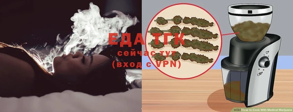 гидра Вязьма