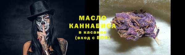 гидра Вязьма