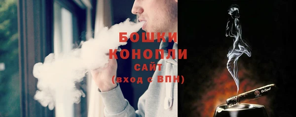 гидра Вязьма