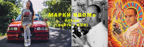 гидра Вязьма