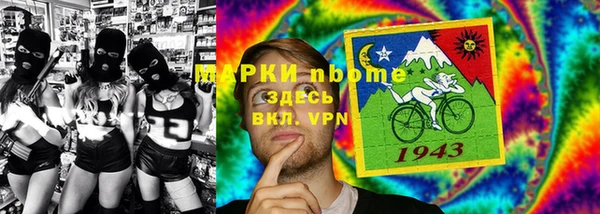 гидра Вязьма