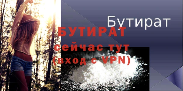 гидра Вязьма