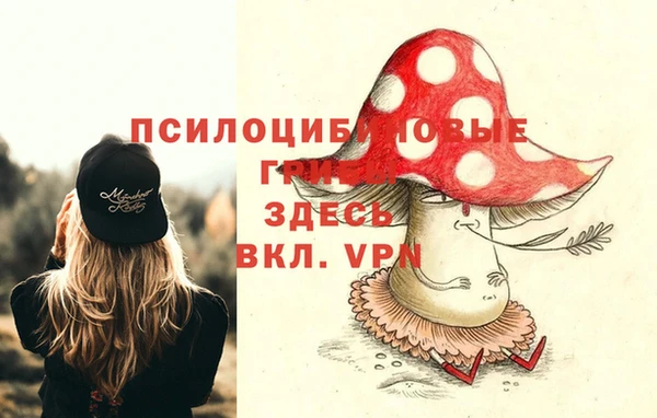 ГАЛЛЮЦИНОГЕННЫЕ ГРИБЫ Волосово